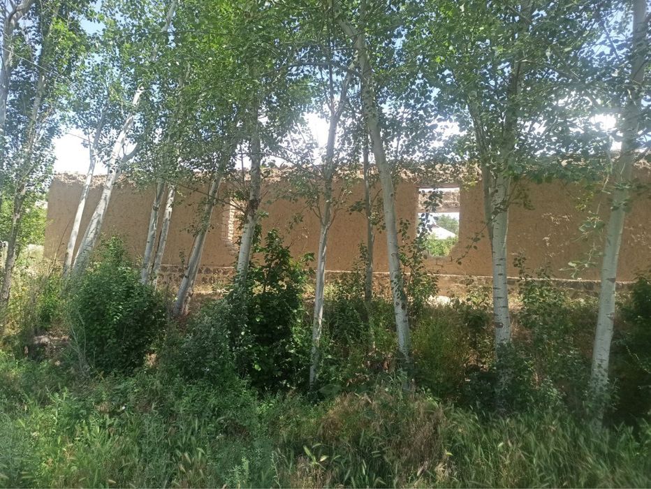 Кошработ туманида 30/35 сотхли ер сотилади 35000$ келишилади