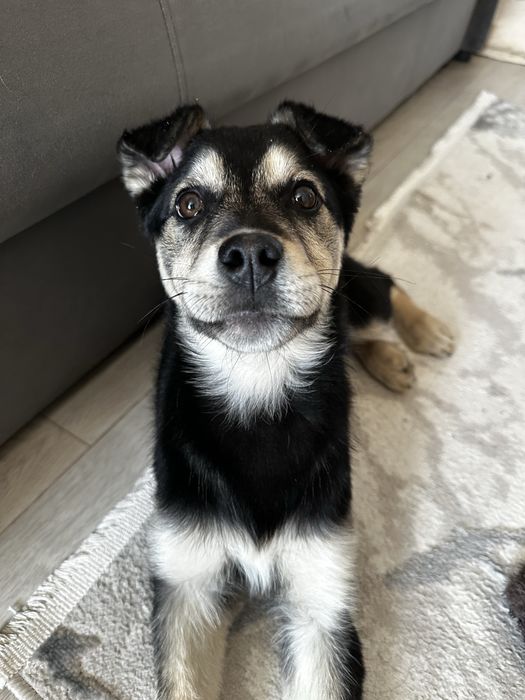 Малышка ищет любящую семью