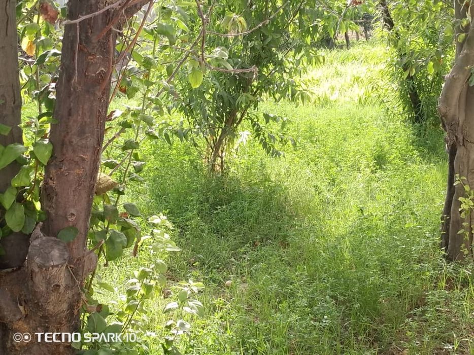 turar uy joy sotiladi