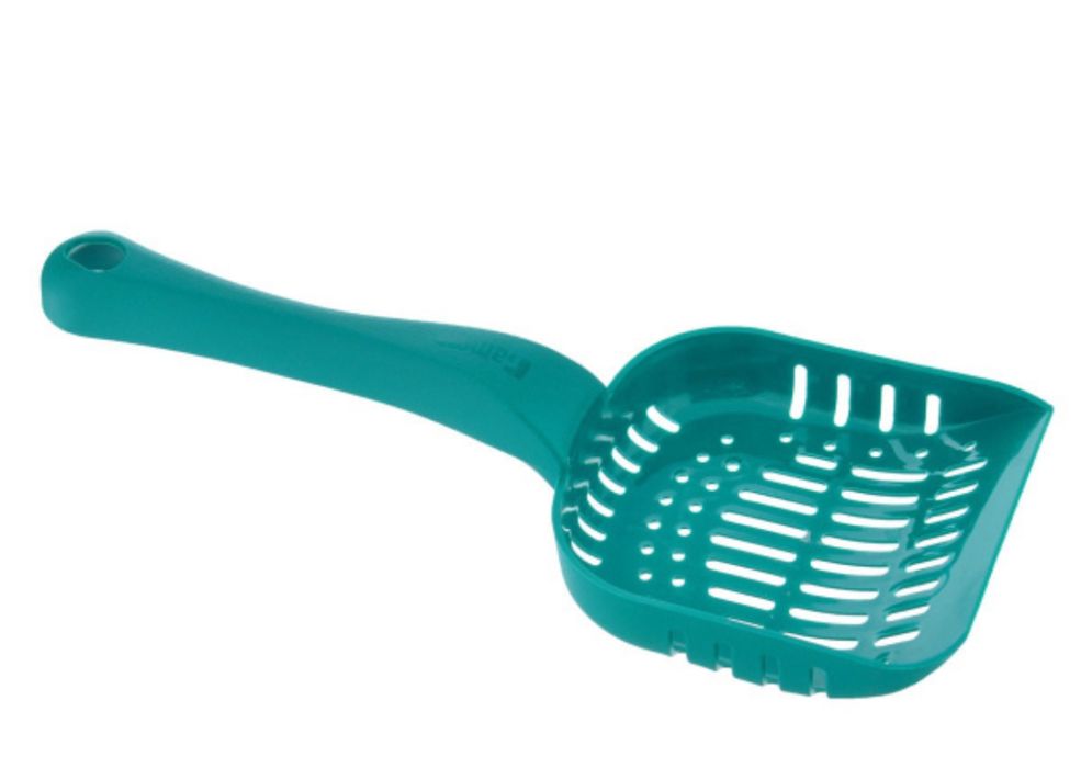 Продаю котенка. Метис