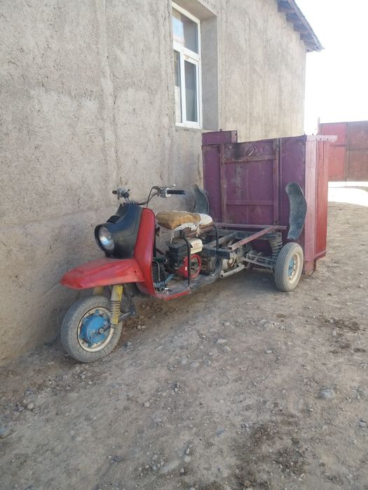 Муравей сетылады