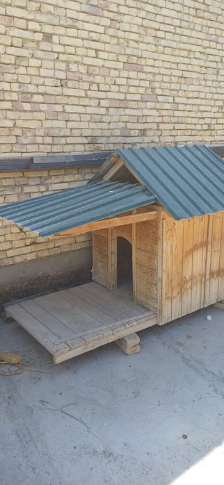 Домик итлар учун.  Келишилган холда