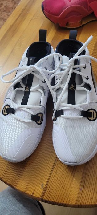 Маратонки  Nike zoom / nike air jordan 38