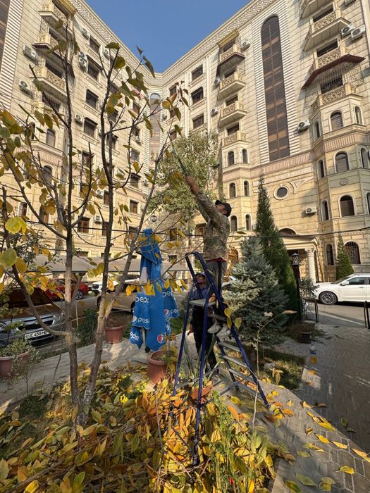 Срочно продам квартиру, Улица Шота Руставели, ор-р текстиль поликленик