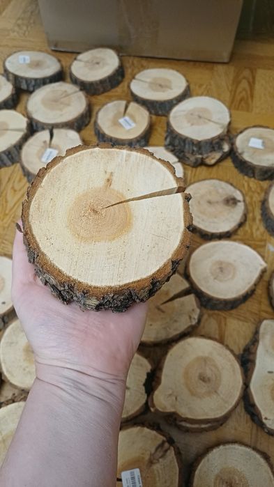 Дерева спилы для творчества и декора