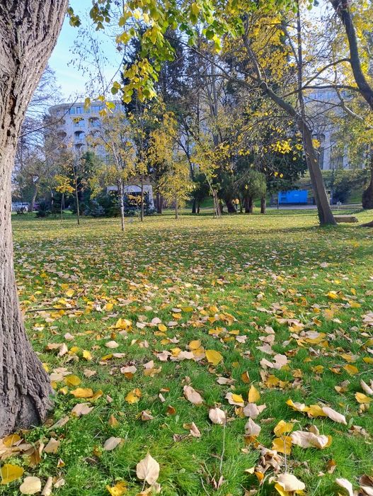 Продава се Тристаен апартамент в Варна, Младост 2 - 64 кв.м за 949 €/кв.м - Снимка #1