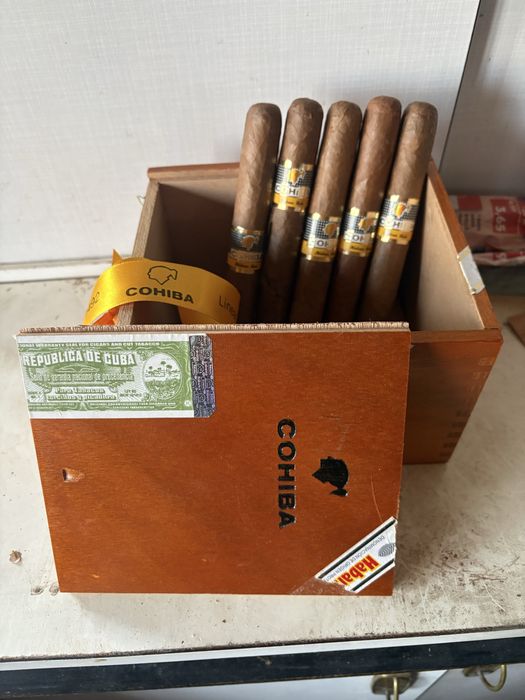 Trabucuri Cohiba Siglo VI