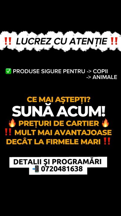 Curatare canapele saltele covorase