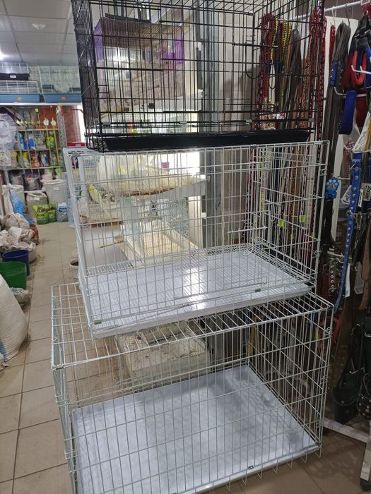 Клетки в наличии