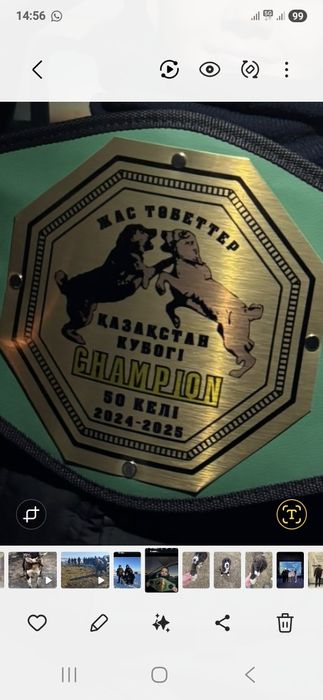 Щенок.Алабая.2 месяца.