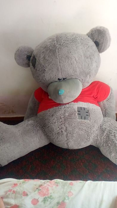 Teddy 160sm yangi