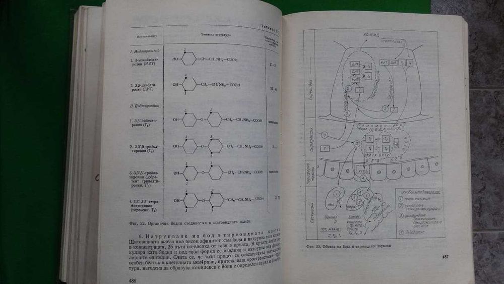 Ръководство по вътрешни болести  II том –акад.Ташев, проф.Пенчев и др.