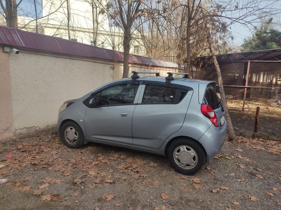 СПАРК 2015 1L.at.дельфин