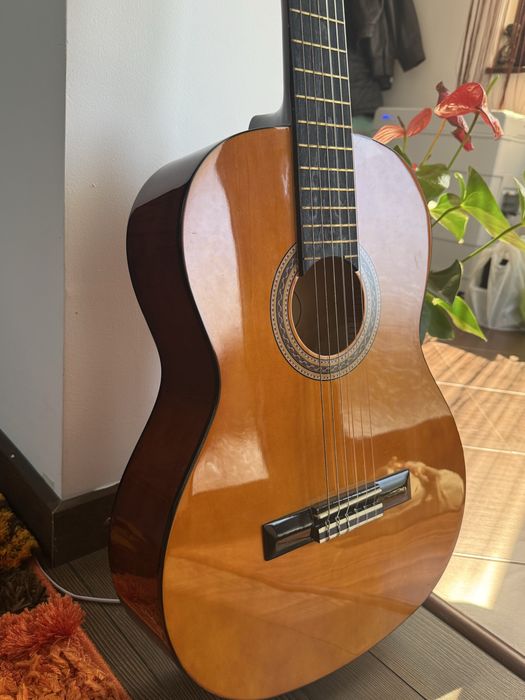 Chitara Valencia VC154+husa