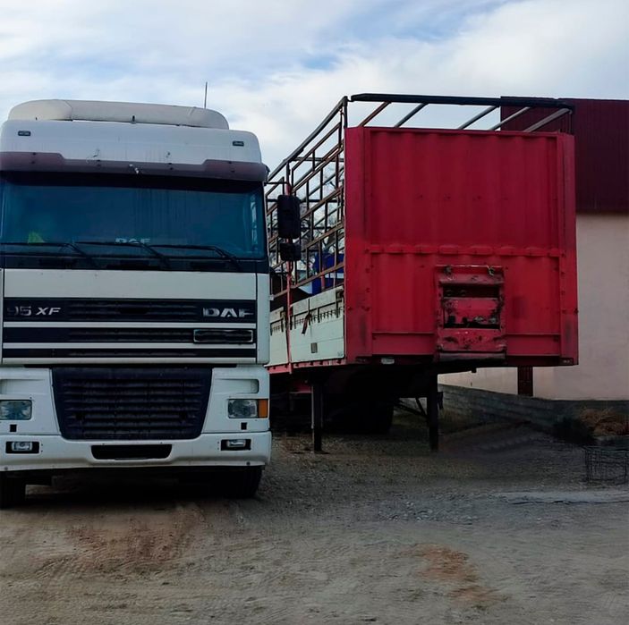 Продам Daf X95-380