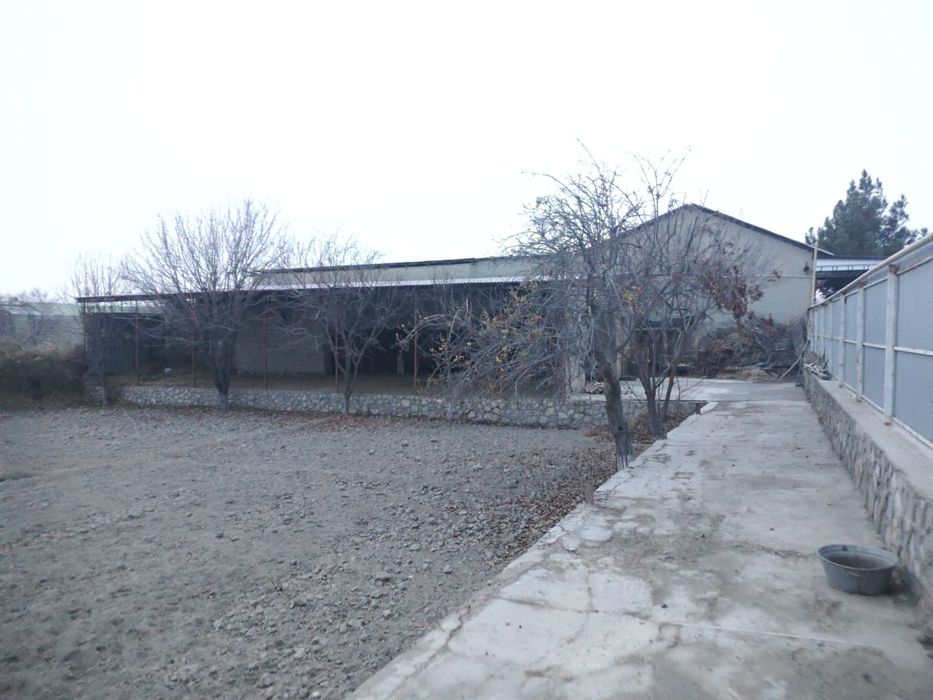 Когон туман. Б.Накшбанд МФЙ да. 6 сотых уй сотилади