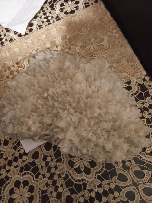 Vând flori de mina .floarea intunericului Preț 6000