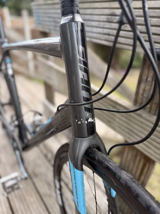 Giant Contend SL