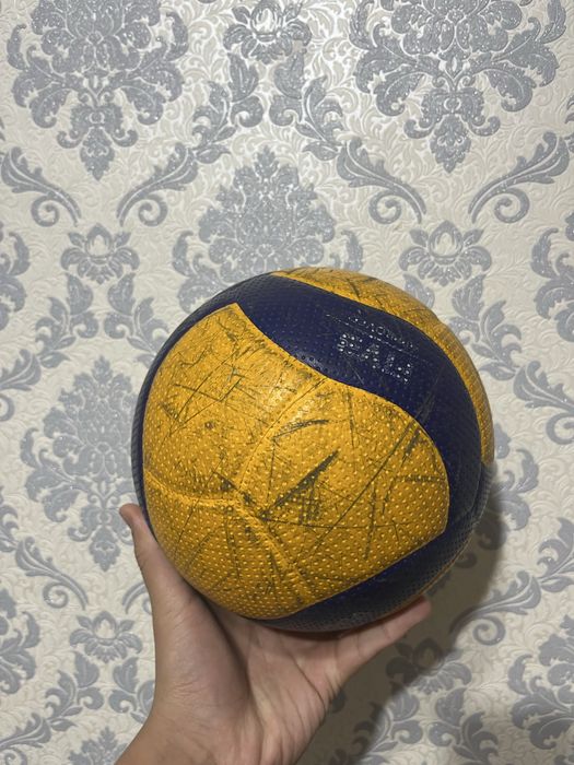 Волейбольный мяч