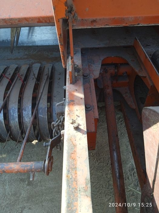 Piris afarati sotladi