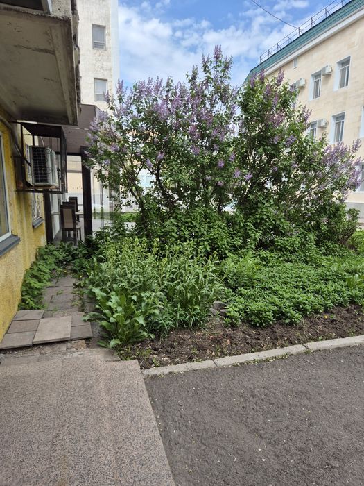 Сдам в аренду,продам