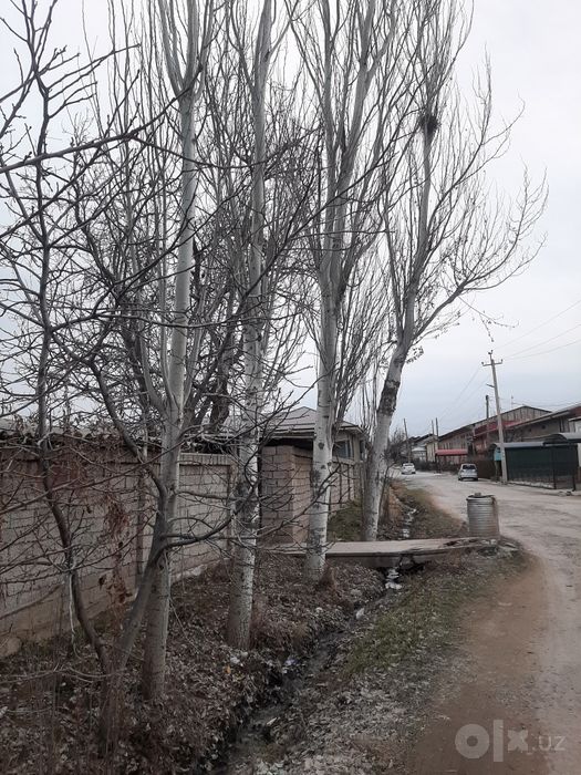 Teraklar sotiladi
