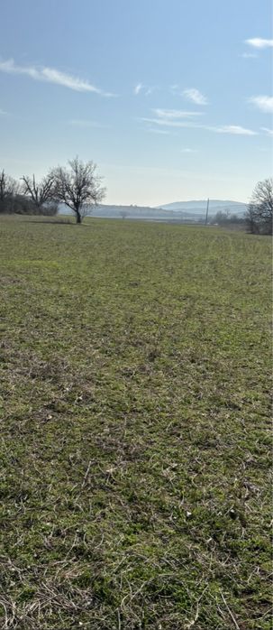 Продава се Парцел в с. Богомилово, Област Стара Загора - 1878 кв.м за 19 €/кв.м - Снимка #4