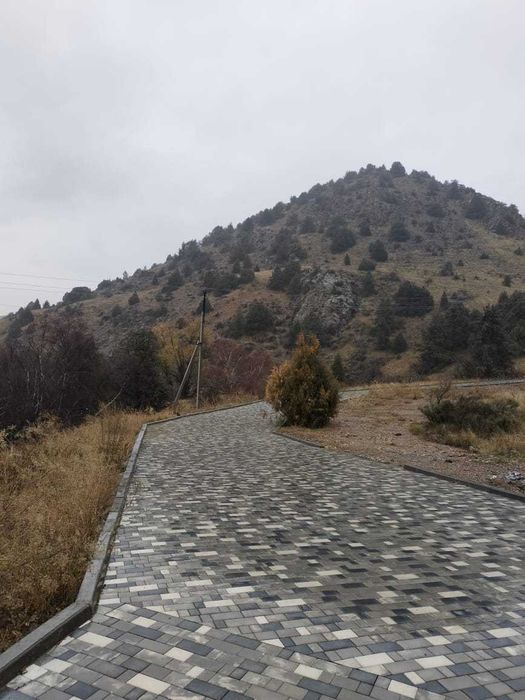 Брусчатка Амстердам квадратный