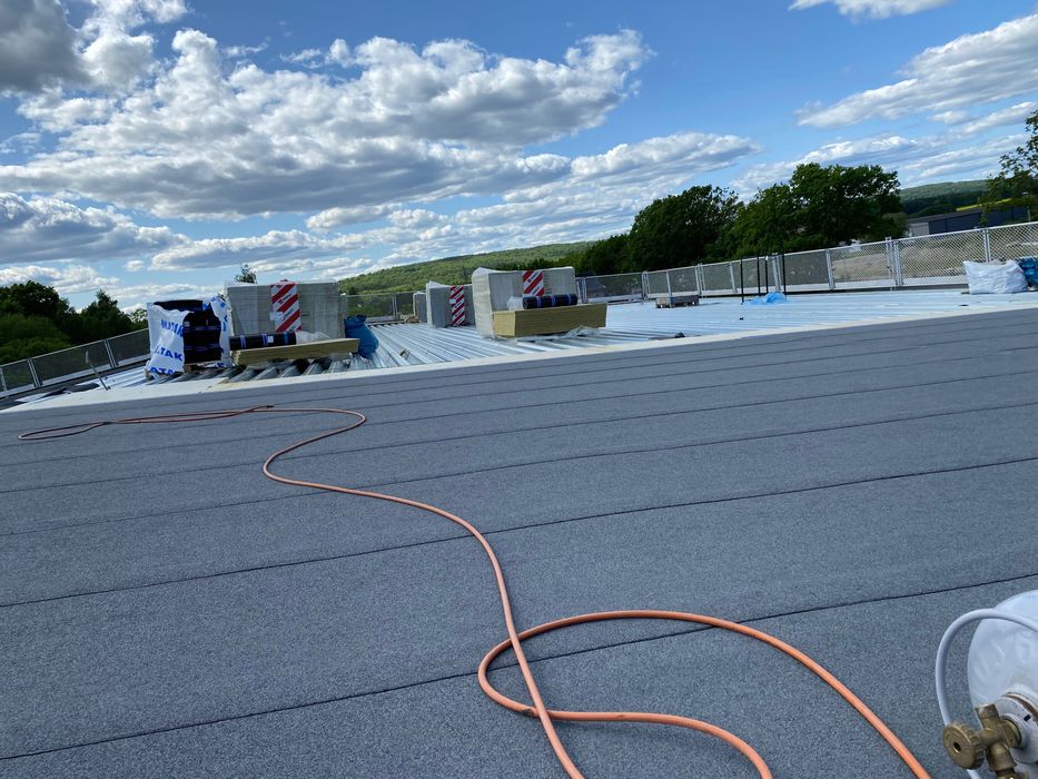 Hidroizolatii Profesionale