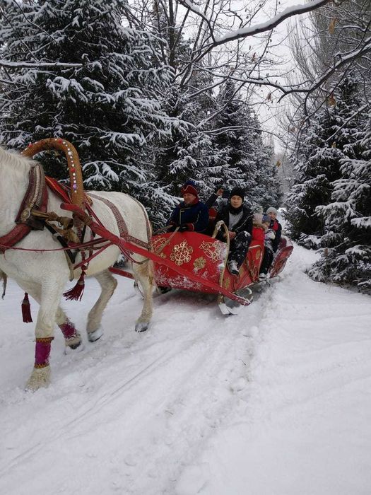 продам сани -волокуши большие