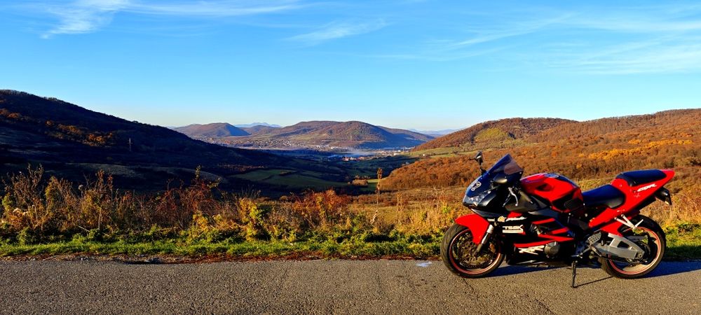 Honda CBR 954 RR Fireblade SC 59 (2002)