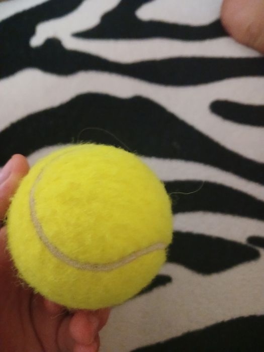 Minge de tenis de camp