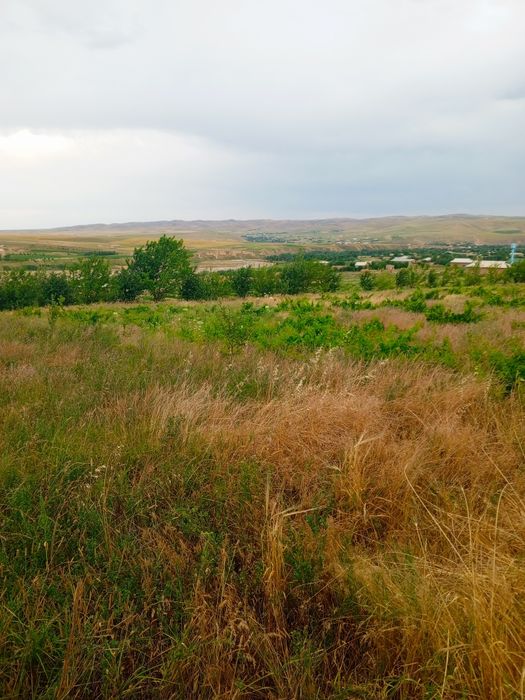 Учаска сотилади уйхамбор