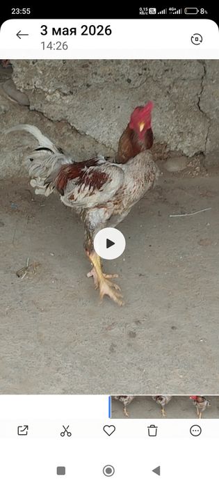 Сатлады срочнааа