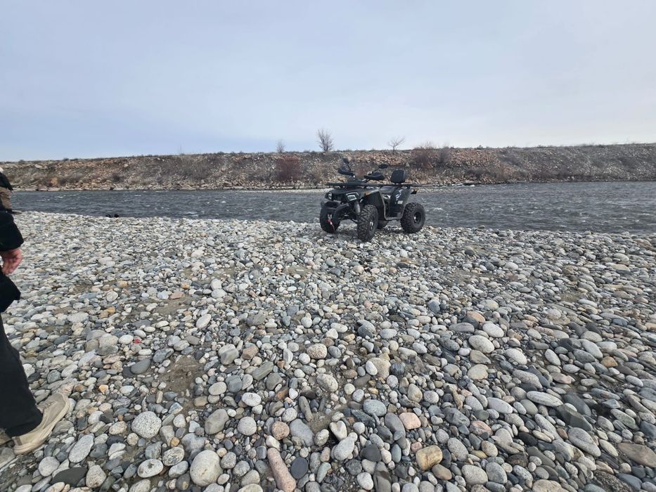 Sharks 200 tao motor