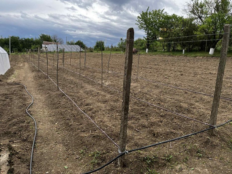 Продава се Парцел в с. Одринци, Област Добрич - 1240 кв.м за 9 €/кв.м - Снимка #2