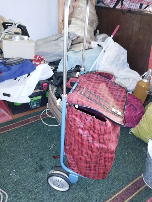 Продам сумку тележку.