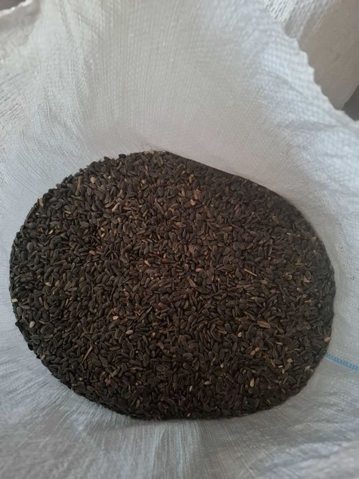 Vand răsărita si orz