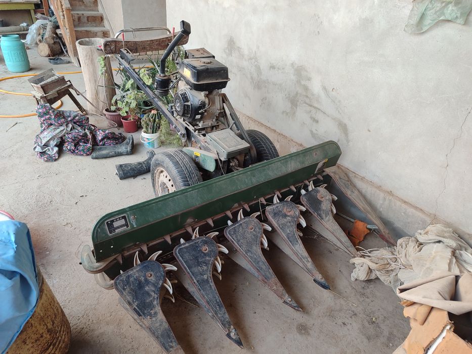 Jatka sotiladi holati yaxshi