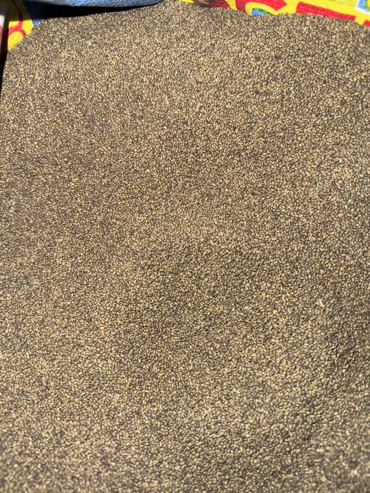 сапалы жоңышқа джея сорты