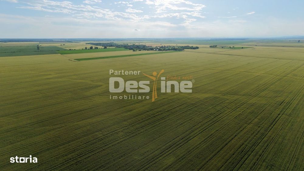 Teren extravilan, neimprejmuit, disponibil imediat, Dumbrava, Prahova