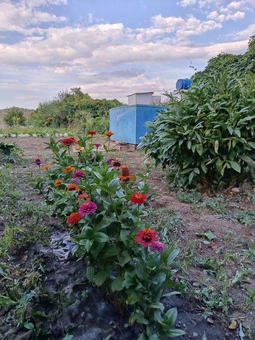 Продам дачу в живописном месте