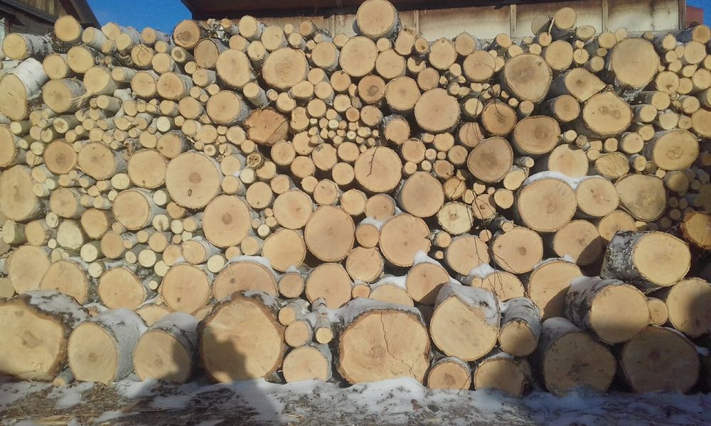 Продам  дрова береза