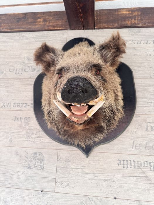 Чучело продам вместе