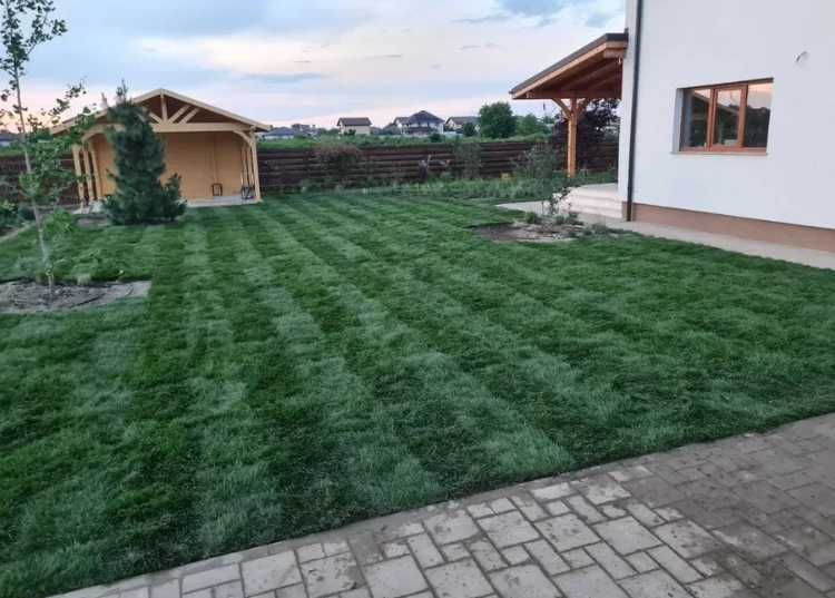 Gazon Rulou Sport Premium pentru Trafic Intens și Design Rustic