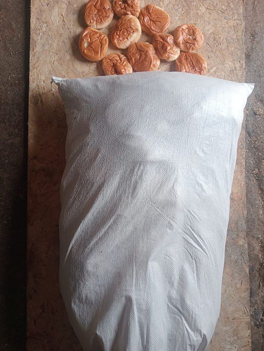 Булочки для животных