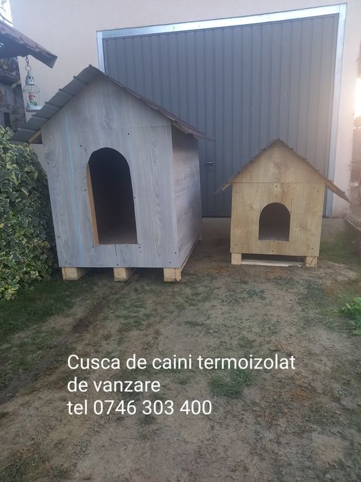 Vand cusca de caini