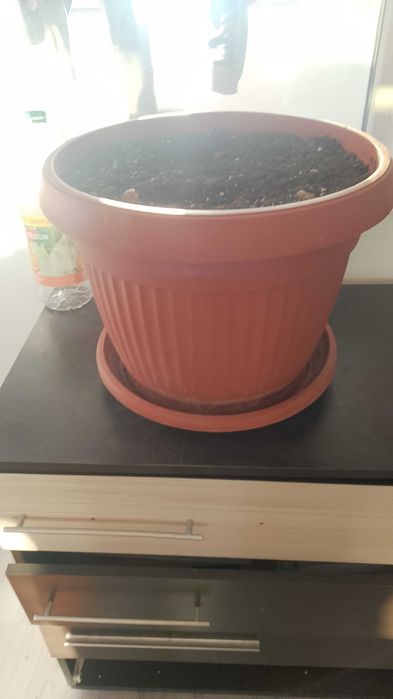 Саксия за цветя шкаф