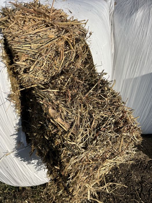 Baloti semifan borceag mazare cu ovaz