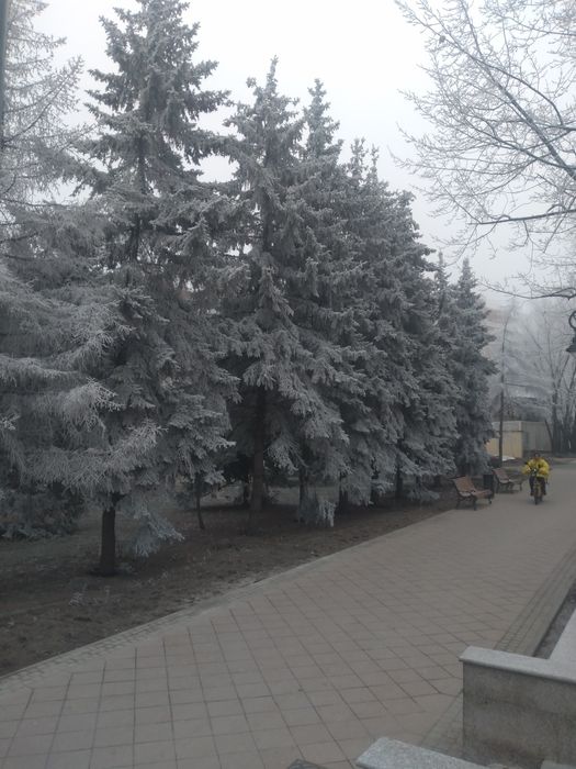 Срочно Ищу Времянку